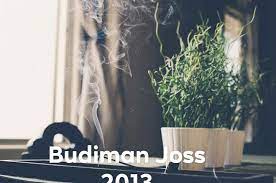 The Complete Details about Budiman Joss 2013