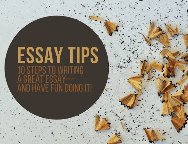 If You Want To Learn The Art Of Essay Writing, This Is What You Need To Do.