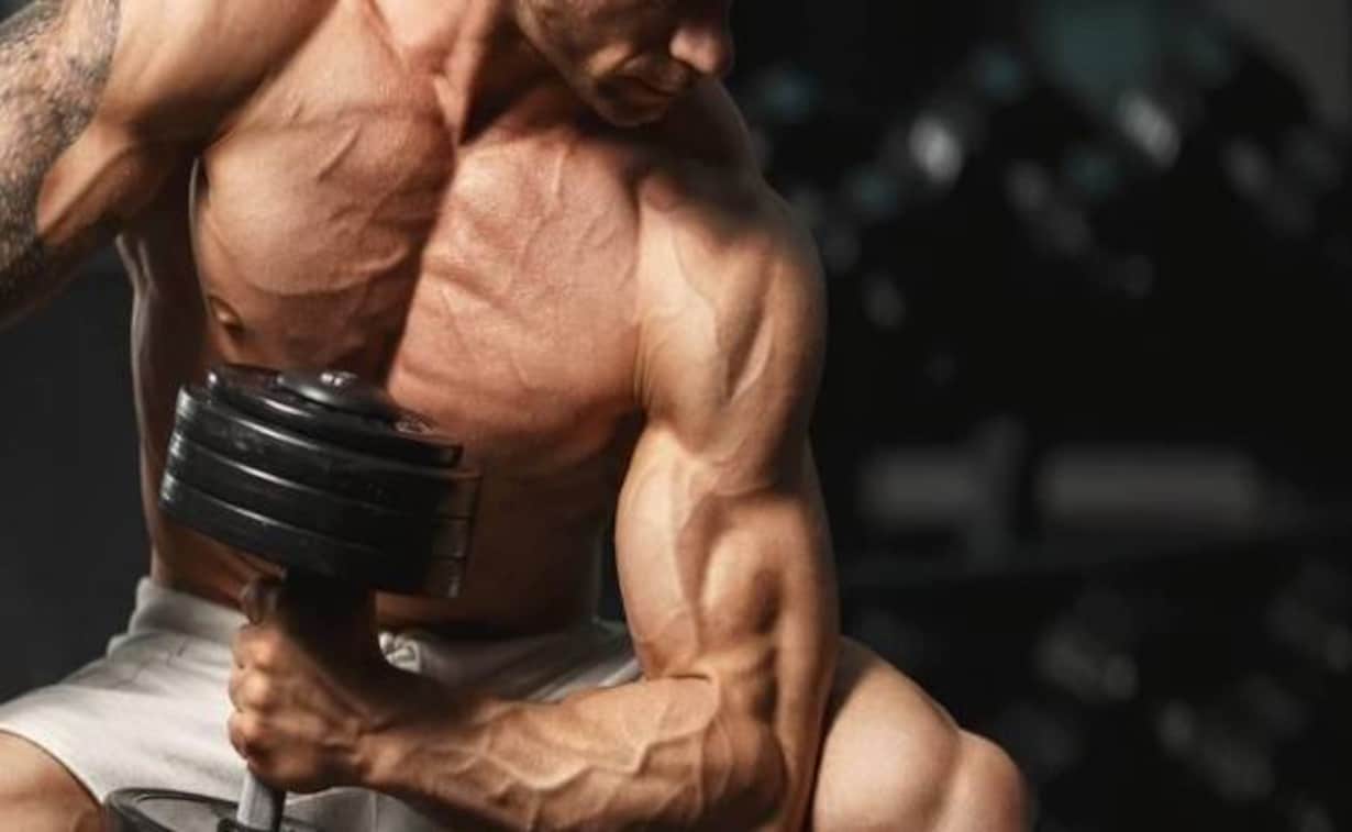 Top 5 Testosterone Boosters to Supercharge Your Performance